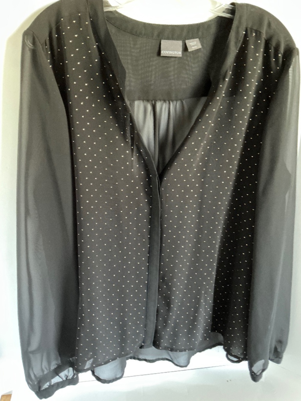 Black Long Sleeve Sheer Blouse